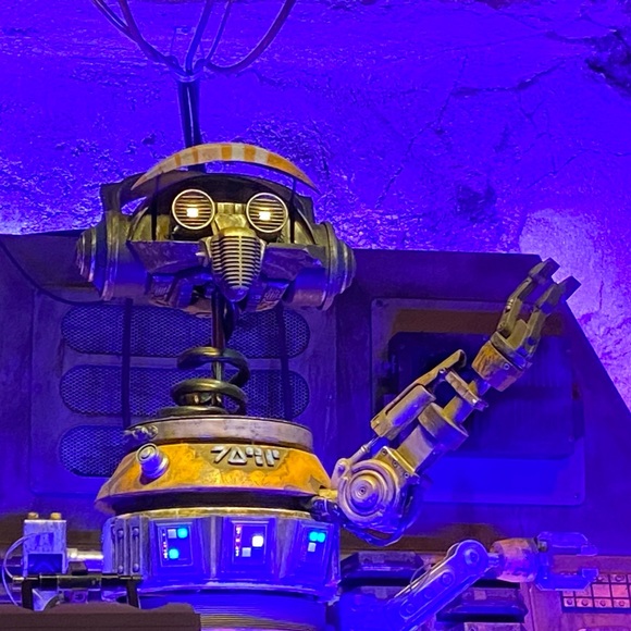 Meet your Posher, Hoss - Picture 1 of 1